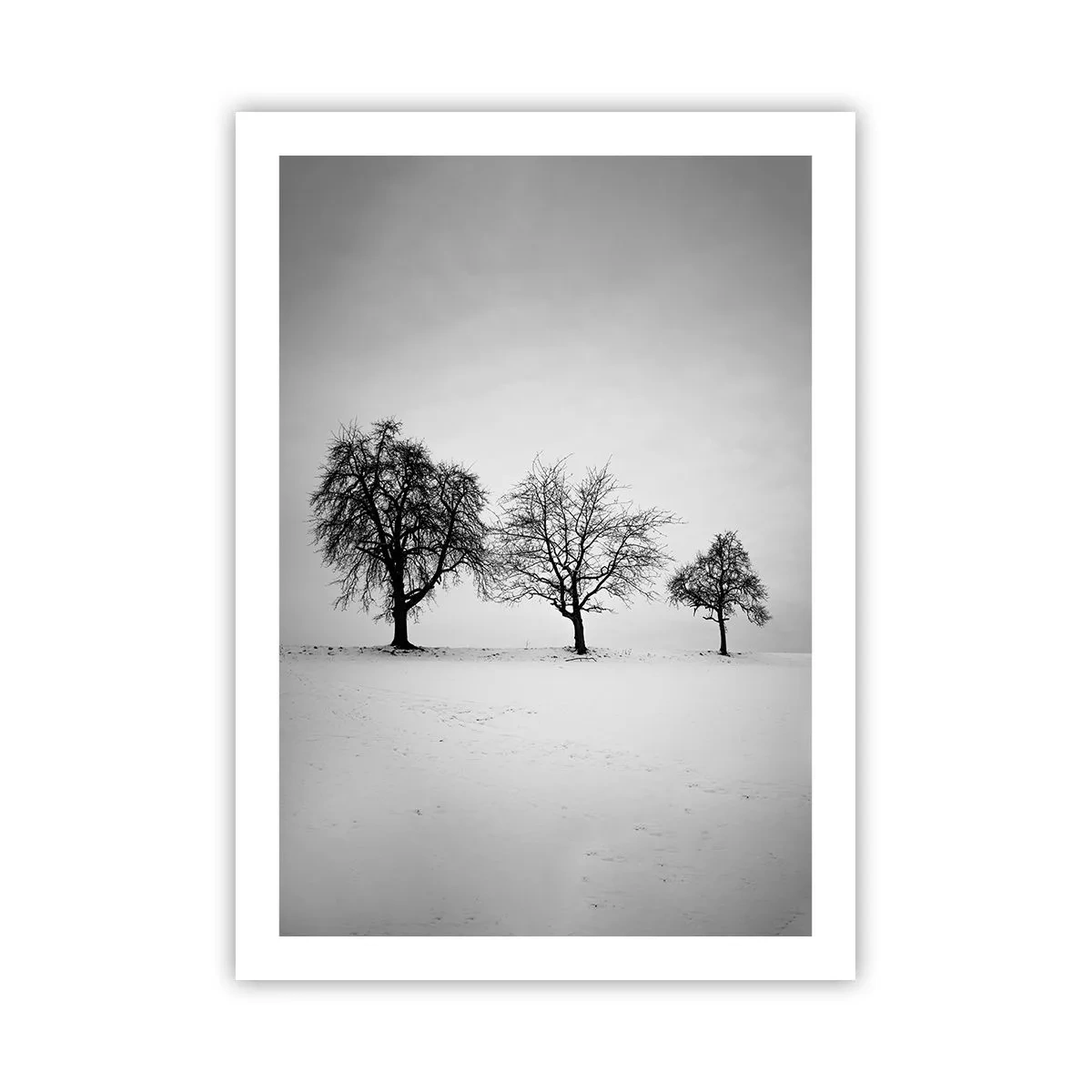 Affiche - Poster - Trois arbres dans un champ enneigé en noir et blanc - 50x70cm - A quoi rêvent-ils? - Décoration murale moderne pour le salon et la chambre ARTTOR