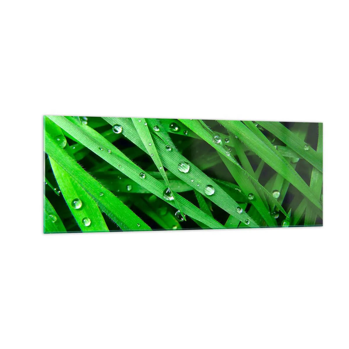 Impression sur verre - Image sur verre - Gros plan de brins d'herbe verte avec des gouttes de rosée - 140x50cm - Jouez dans le vert - Décoration murale moderne pour le salon et la chambre ARTTOR