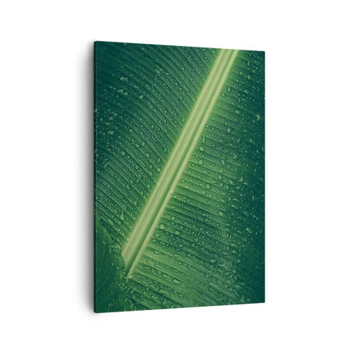 Impression sur toile - Image sur toile - Une feuille verte avec des gouttes d'eau à sa surface - 50x70cm - Structure de vert - Décoration murale moderne pour le salon et la chambre ARTTOR