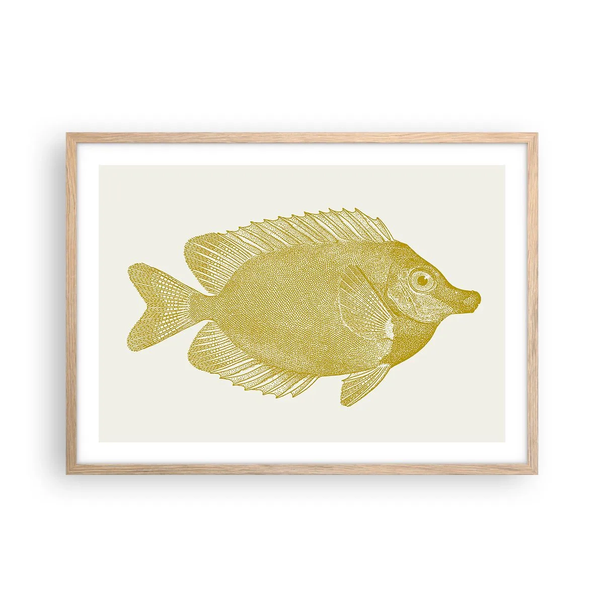 Affiche dans un chêne clair - Poster - Du poisson et c'est tout - 70x50 cm