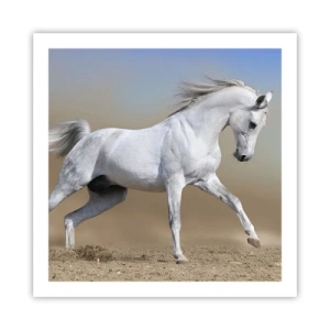 Affiche - Poster - Le plus beau conte de fées arabe - 60x60 cm