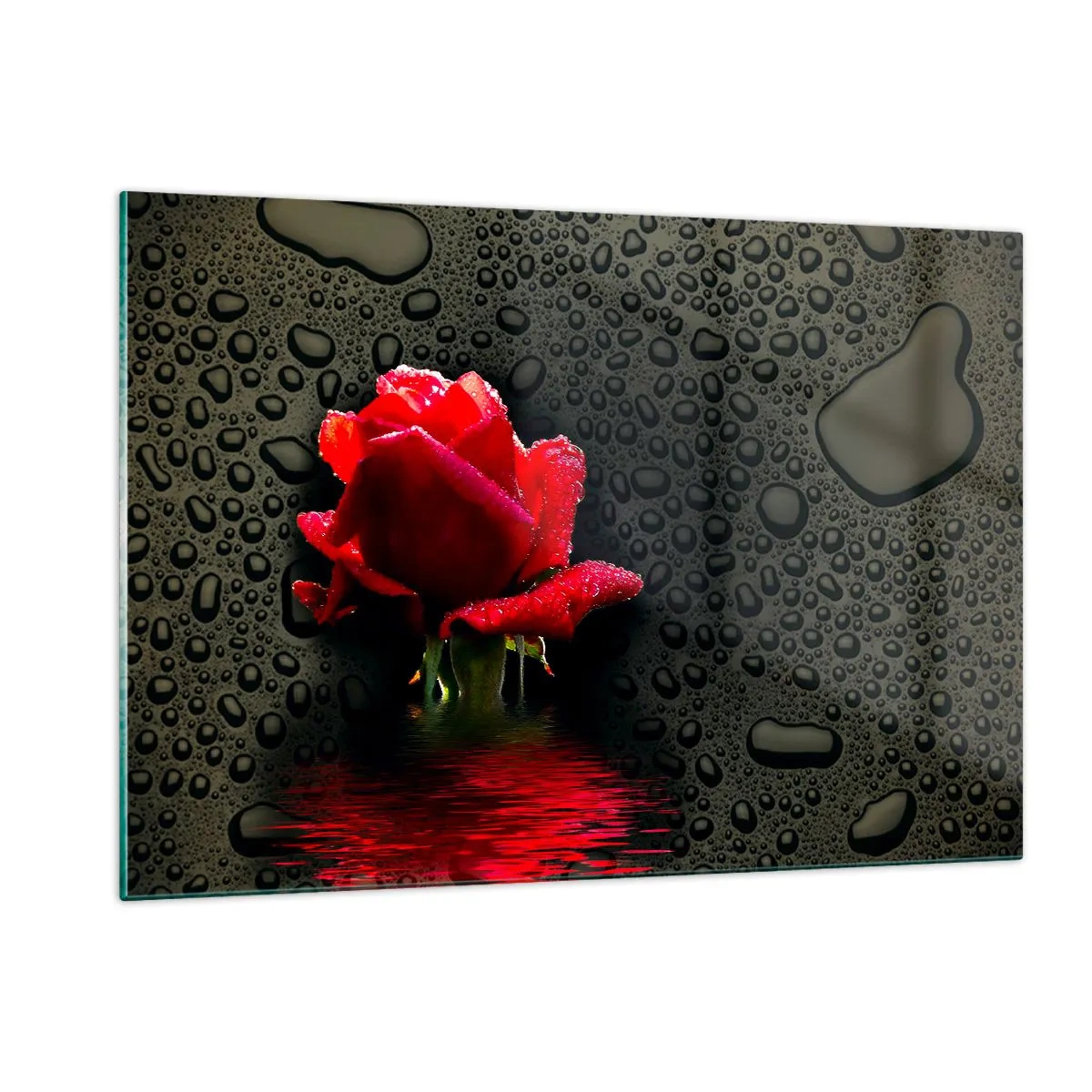 Impression sur verre - Image sur verre - Rose rouge avec des gouttes d'eau sur un fond sombre - 120x80cm - Rouge et noir - Décoration murale moderne pour le salon et la chambre ARTTOR