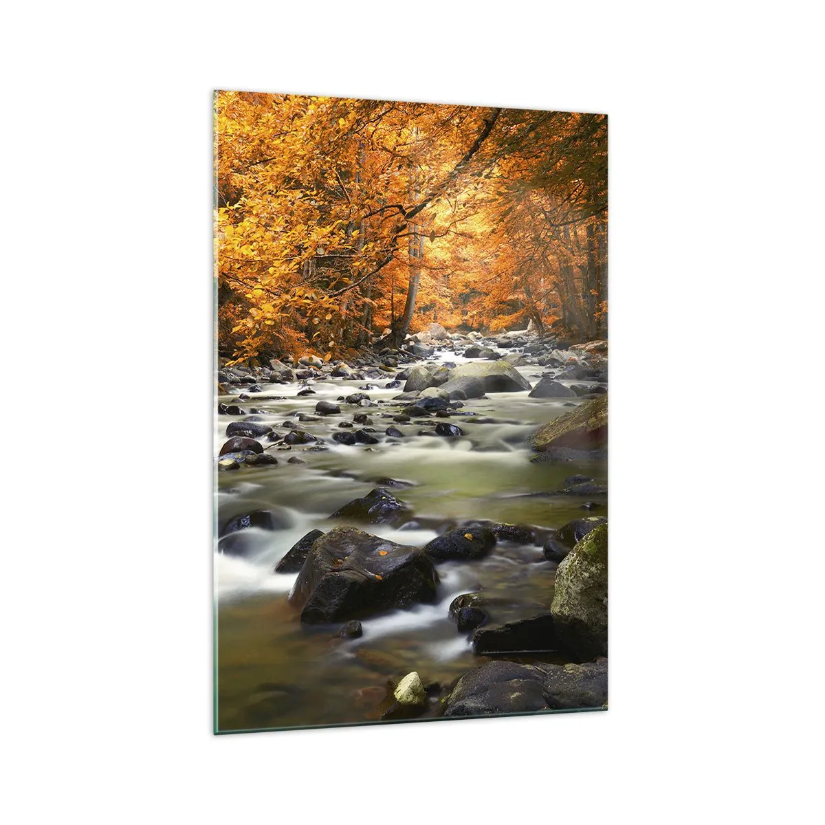 Impression sur verre - Image sur verre - Un ruisseau dans une forêt d'automne entouré de feuilles dorées - 70x100cm - Un ruisseau dans une forêt dorée - Décoration murale moderne pour le salon et la chambre ARTTOR