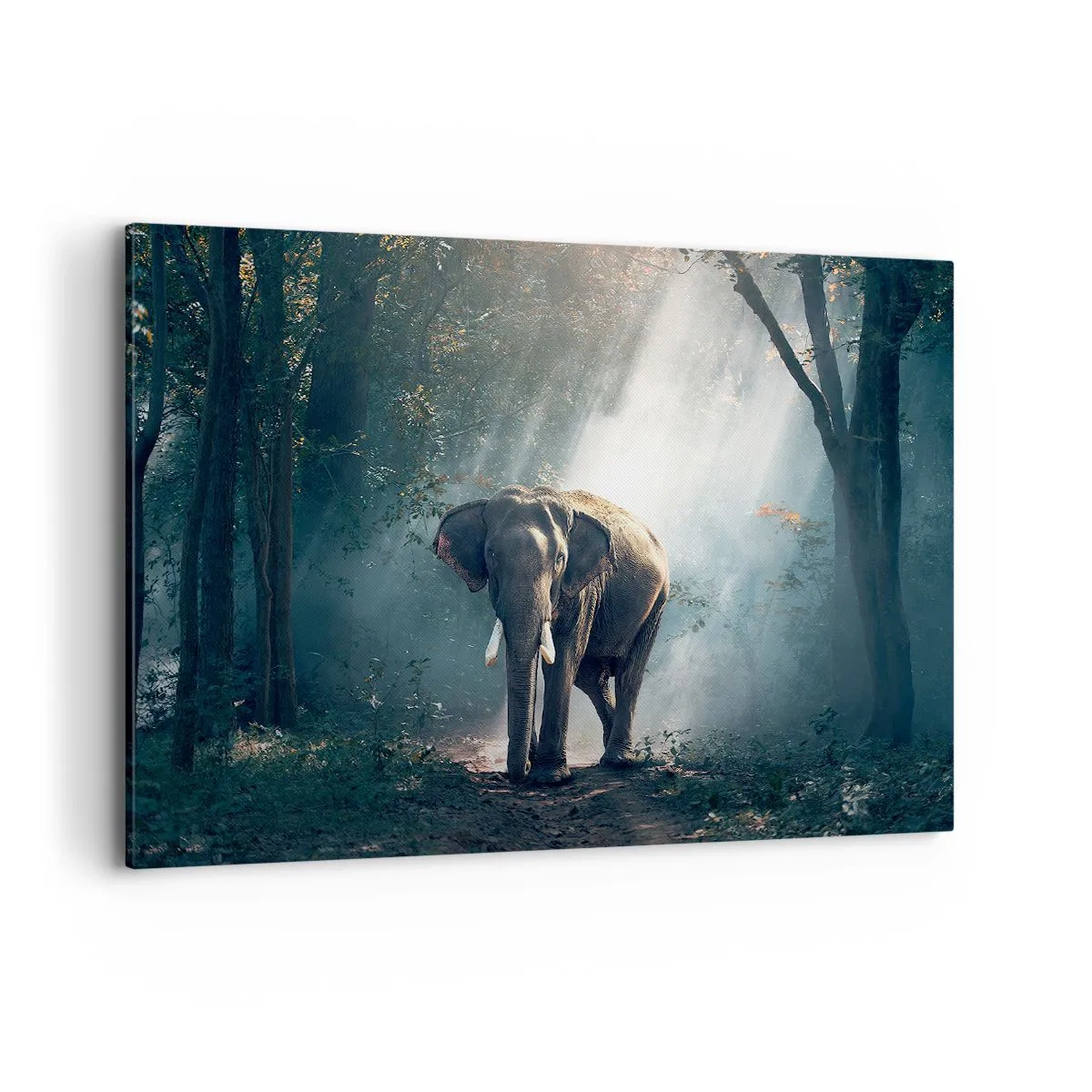Impression sur toile - Image sur toile - Éléphant dans la lumière de la forêt - 120x80cm - Une balade tranquille - Décoration murale moderne pour le salon et la chambre ARTTOR