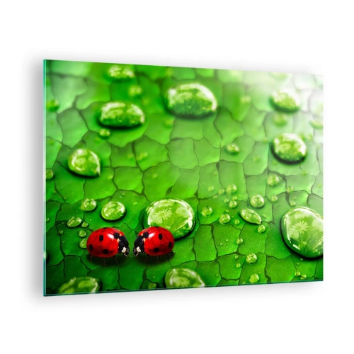 Impression sur verre - Image sur verre - Deux coccinelles sur une feuille verte avec des gouttes d'eau - 70x50cm - Rendez-vous au vert - Décoration murale moderne pour le salon et la chambre ARTTOR