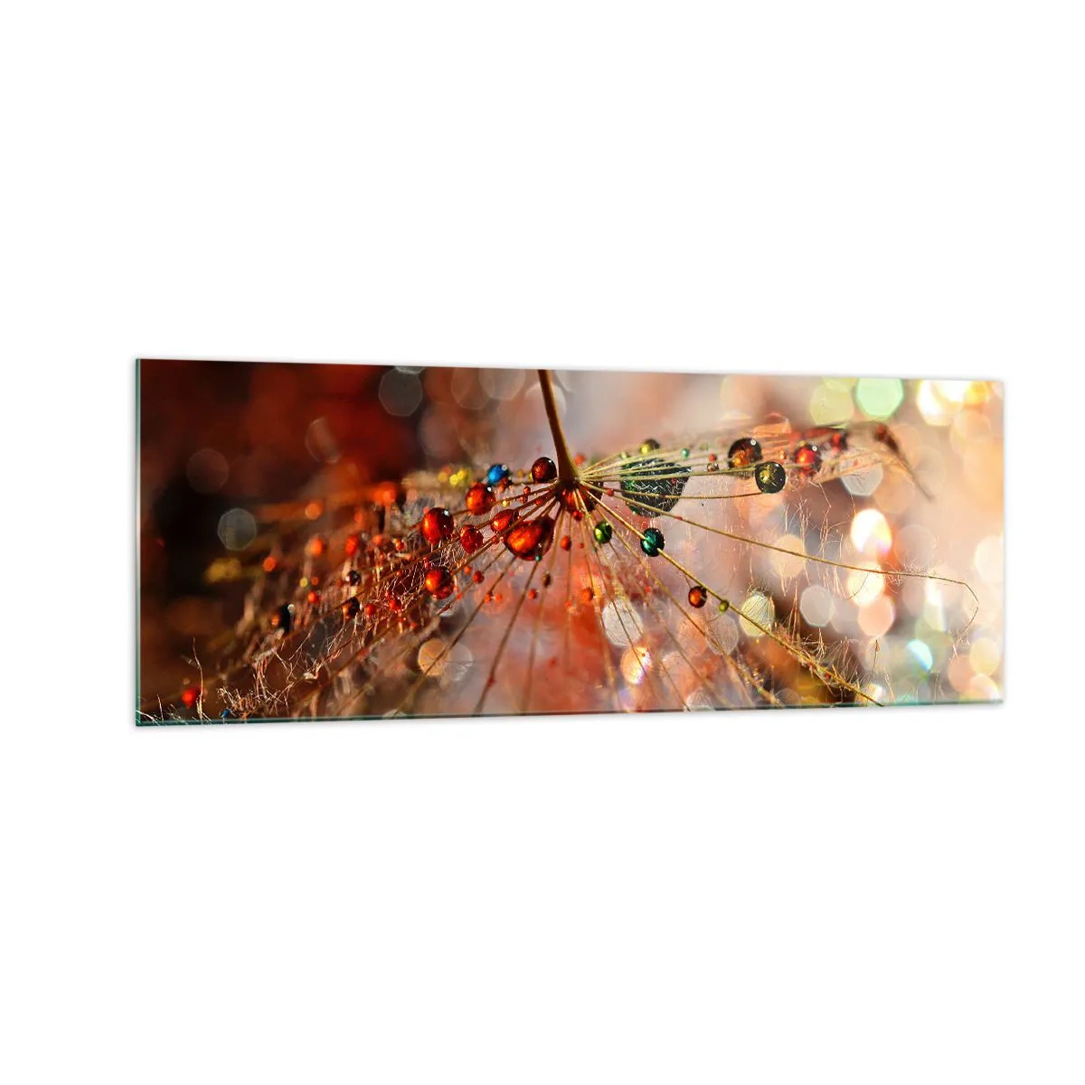 Impression sur verre - Image sur verre - Macrophotographie d'une goutte d'eau sur une plante délicate - 140x50cm - Enfilé sur un fil d'araignée - Décoration murale moderne pour le salon et la chambre ARTTOR