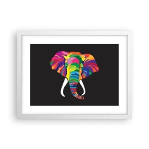 Affiche dans un cadre blanc - Poster - L'éléphant qui aimait se baigner dans un arc-en-ciel - 40x30 cm