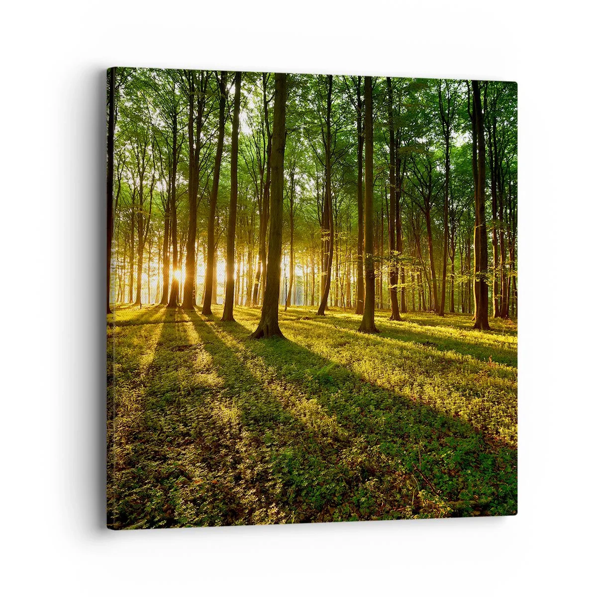 Impression sur toile - Image sur toile - Toutes les photographies de printemps - 40x40 cm