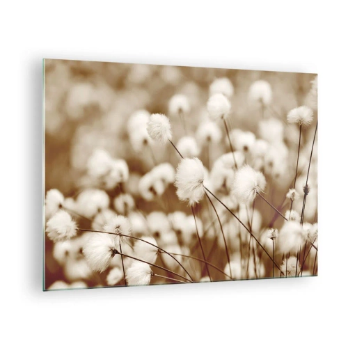 Impression sur verre - Image sur verre - Un champ d'herbe duveteuse aux tons sépia - 70x50cm - Tige moelleuse - Décoration murale moderne pour le salon et la chambre ARTTOR