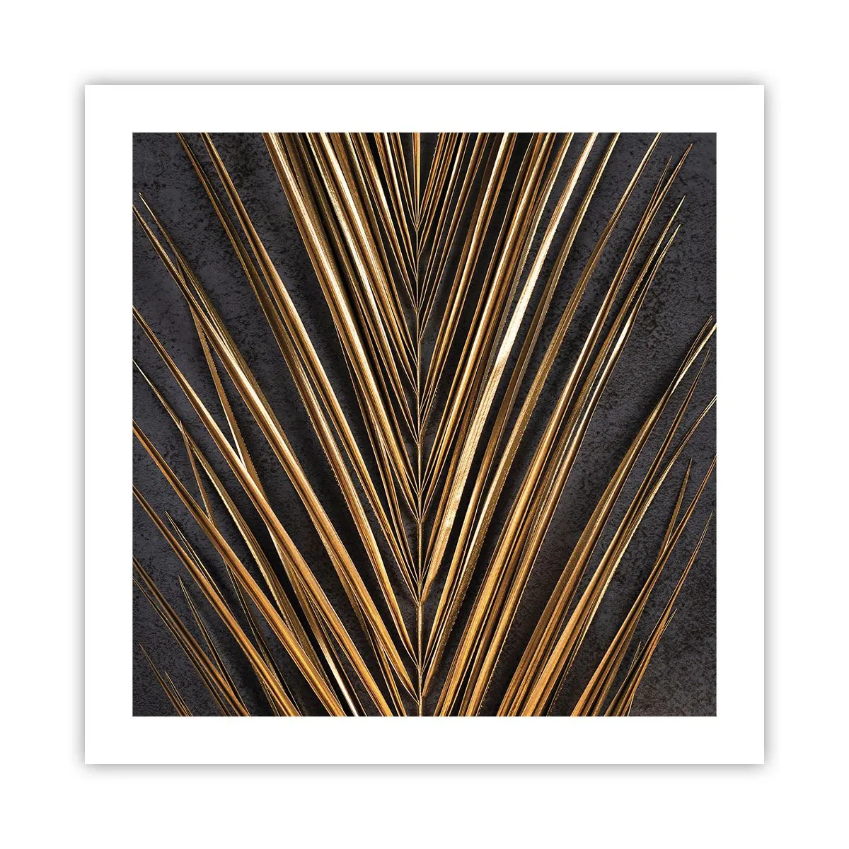 Affiche - Poster - L'or des tropiques - 50x50 cm