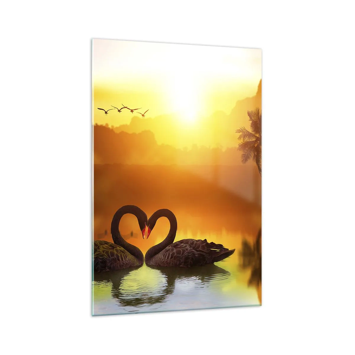 Impression sur verre - Image sur verre - Deux cygnes noirs formant un cœur sur fond de coucher de soleil sur un lac - 70x100cm - Tout va ensemble - Décoration murale moderne pour le salon et la chambre ARTTOR