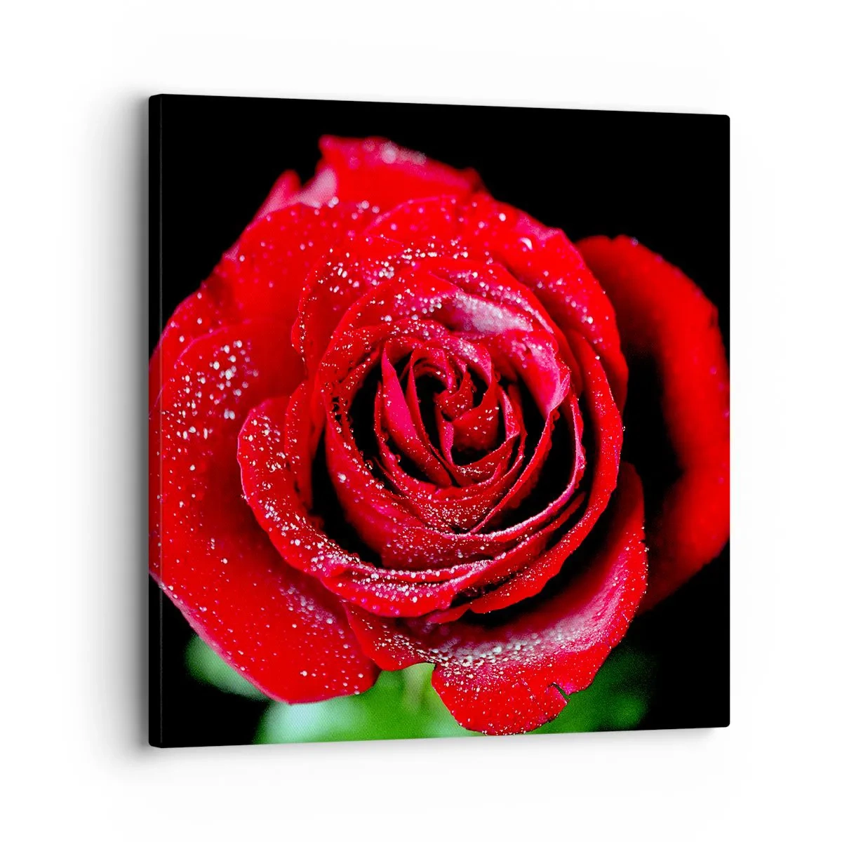 Impression sur toile - Image sur toile - C'est ça l'amour - 30x30 cm