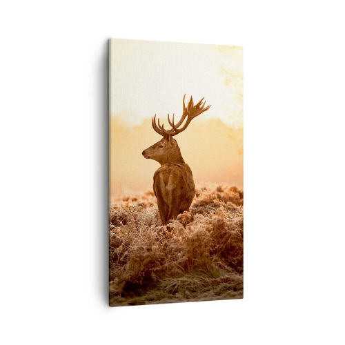 Impression sur toile - Image sur toile - Seigneur du domaine - 45x80 cm