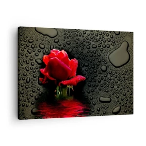 Impression sur toile - Image sur toile - Rose rouge avec des gouttes d'eau sur un fond sombre - 70x50cm - Rouge et noir - Décoration murale moderne pour le salon et la chambre ARTTOR