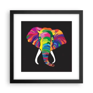 Affiche dans un cadre noir - Poster - L'éléphant qui aimait se baigner dans un arc-en-ciel - 30x30 cm
