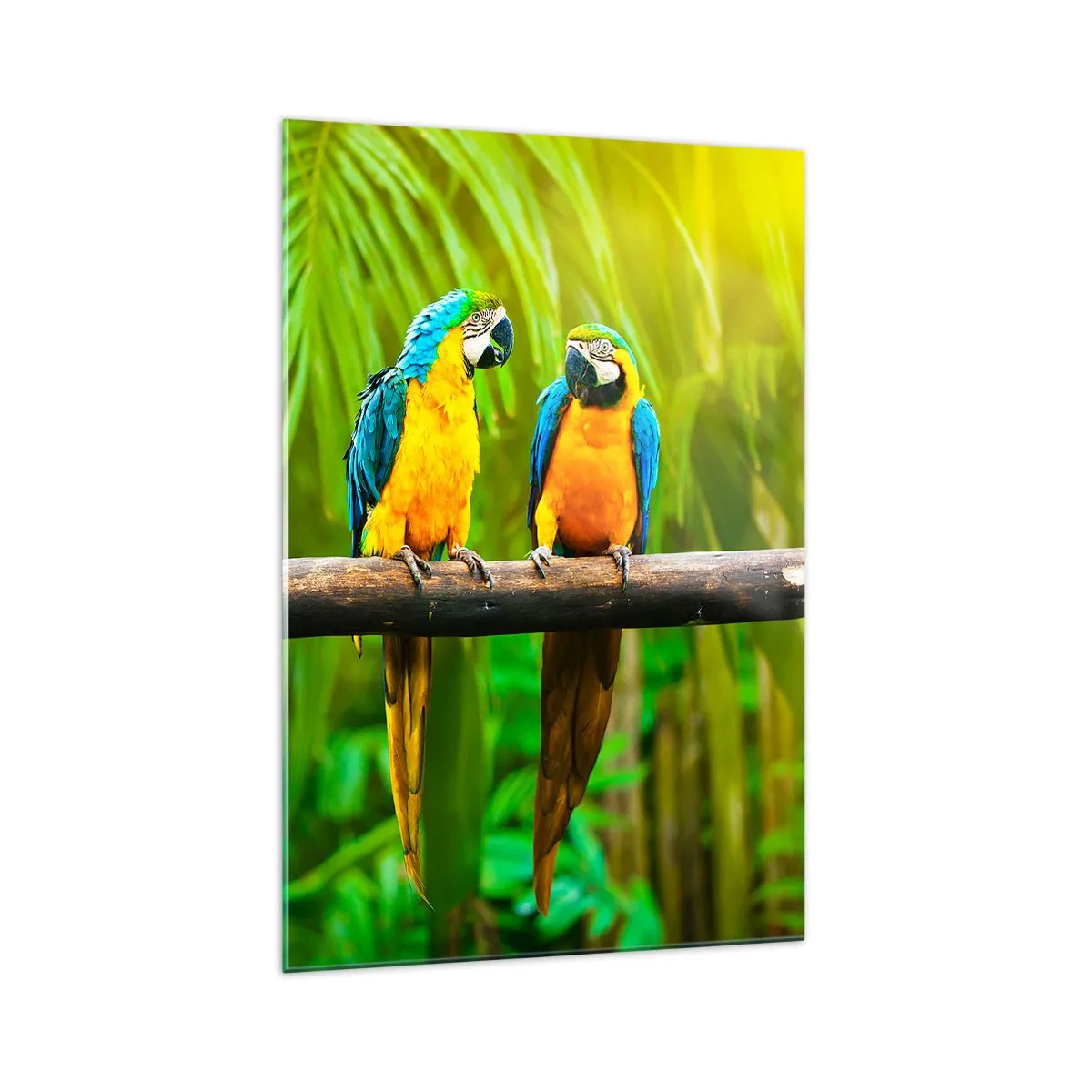 Impression sur verre - Image sur verre - Trois perroquets colorés sur fond de verdure tropicale - 70x100cm - Et avez-vous entendu qu'elle ...? - Décoration murale moderne pour le salon et la chambre ARTTOR