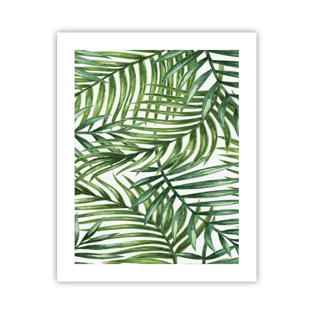 Affiche - Poster - Sous la canopée verte - 40x50 cm
