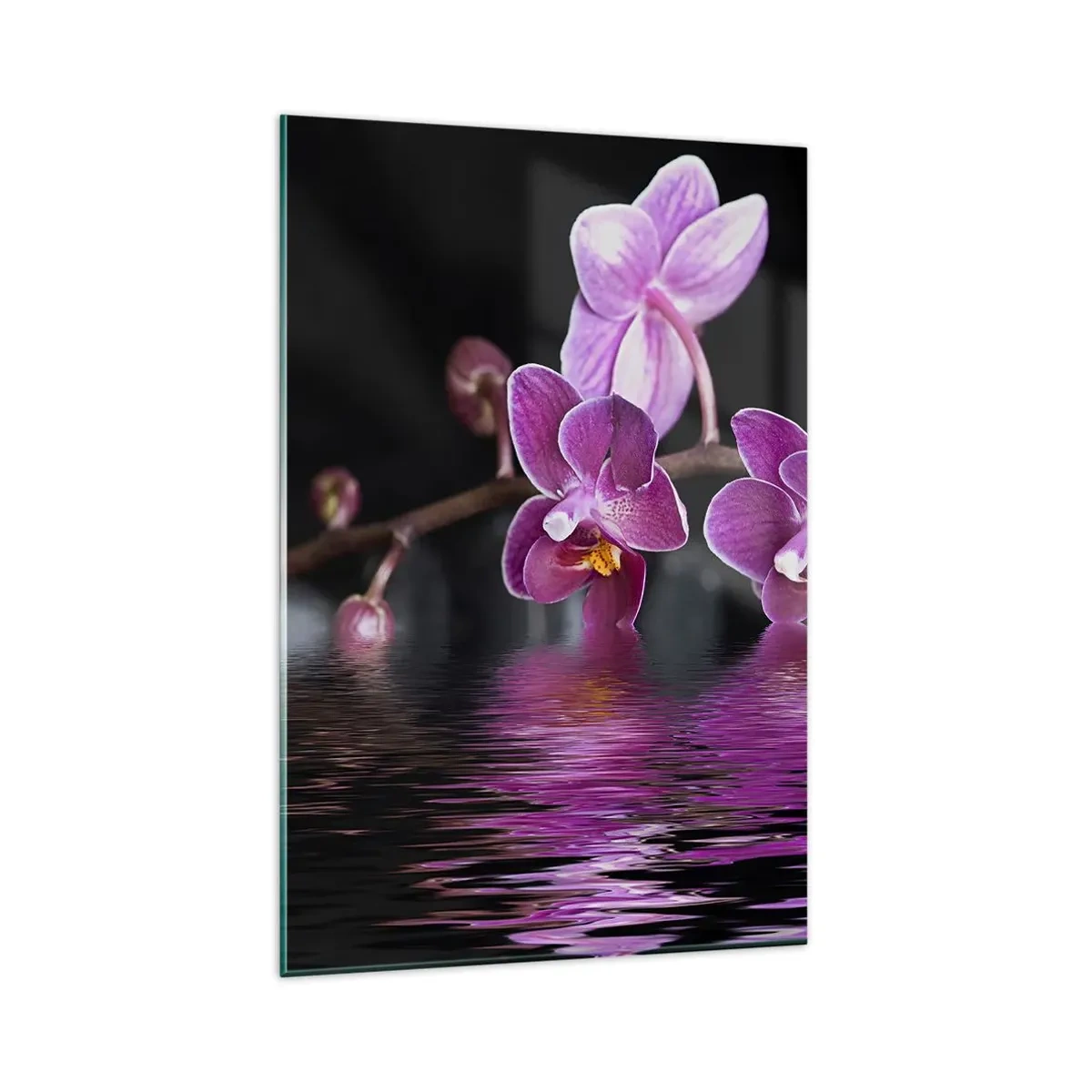 Impression sur verre - Image sur verre - Orchidées violettes sur une eau calme sur fond noir - 80x120cm - Reflet lilas de la beauté - Décoration murale moderne pour le salon et la chambre ARTTOR