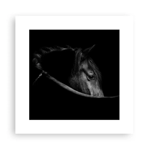 Affiche - Poster - Prince Noir - 30x30 cm