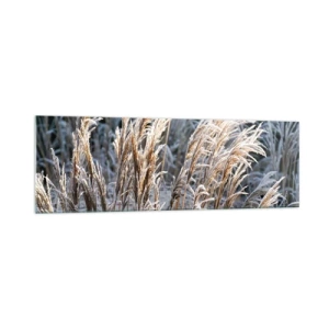 Impression sur verre - Image sur verre - Brins d'herbe d'hiver recouverts de givre sur un fond vert foncé - 160x50cm - Habillé de givre - Décoration murale moderne pour le salon et la chambre ARTTOR