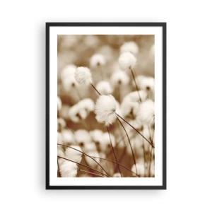 Affiche dans un cadre noir - Poster - Des brins d'herbe duveteux dans une photo délicate - 50x70cm - Tige moelleuse - Décoration murale moderne pour le salon et la chambre ARTTOR