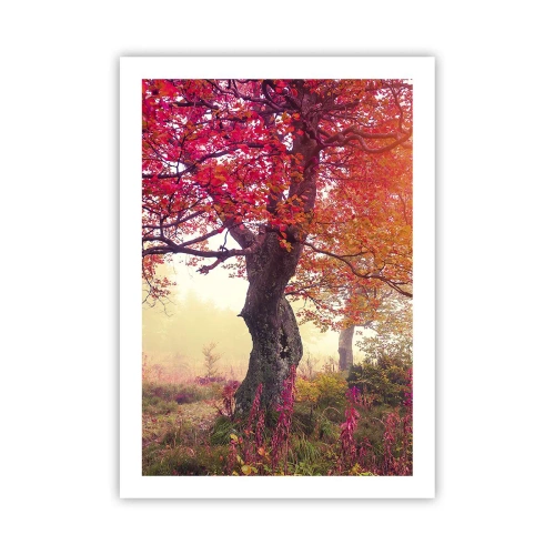 Affiche - Poster - Un arbre aux feuilles rouges dans un paysage d'automne - 50x70cm - Frénésie de floraison - Décoration murale moderne pour le salon et la chambre ARTTOR