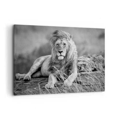Impression sur toile - Image sur toile - Lion reposant sur un rocher dans un style monochrome - 120x80cm - Sieste royale - Décoration murale moderne pour le salon et la chambre ARTTOR