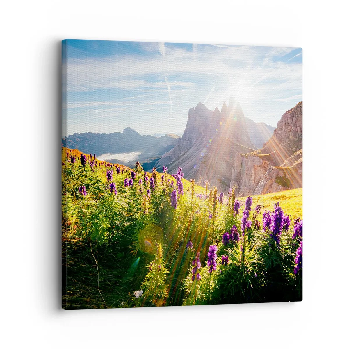 Impression sur toile - Image sur toile - La vie secrète des herbes - 30x30 cm