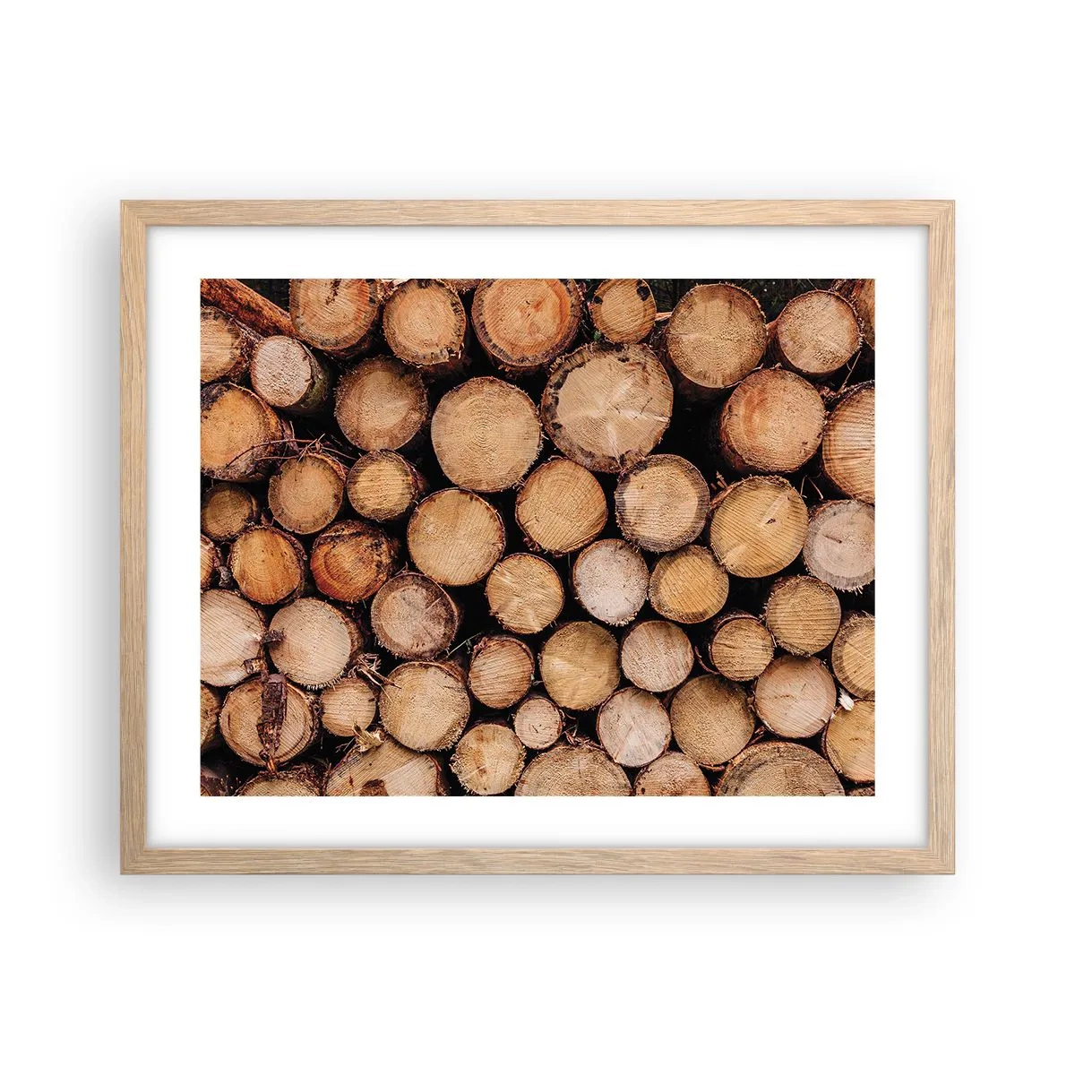 Affiche dans un chêne clair - Poster - Nouveau commencement - 50x40 cm