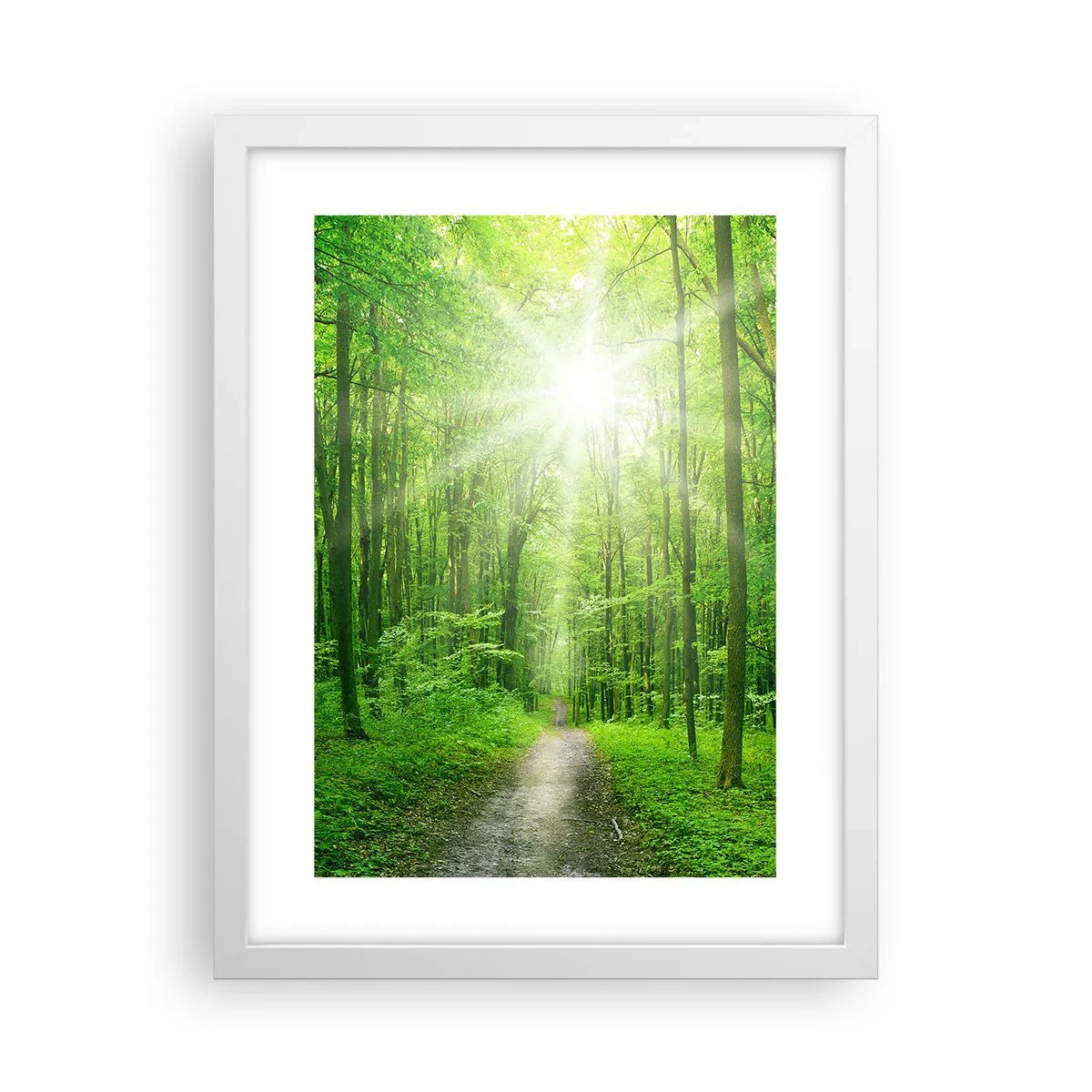 Affiche dans un cadre blanc - Poster - Cathédrale verte - 30x40 cm