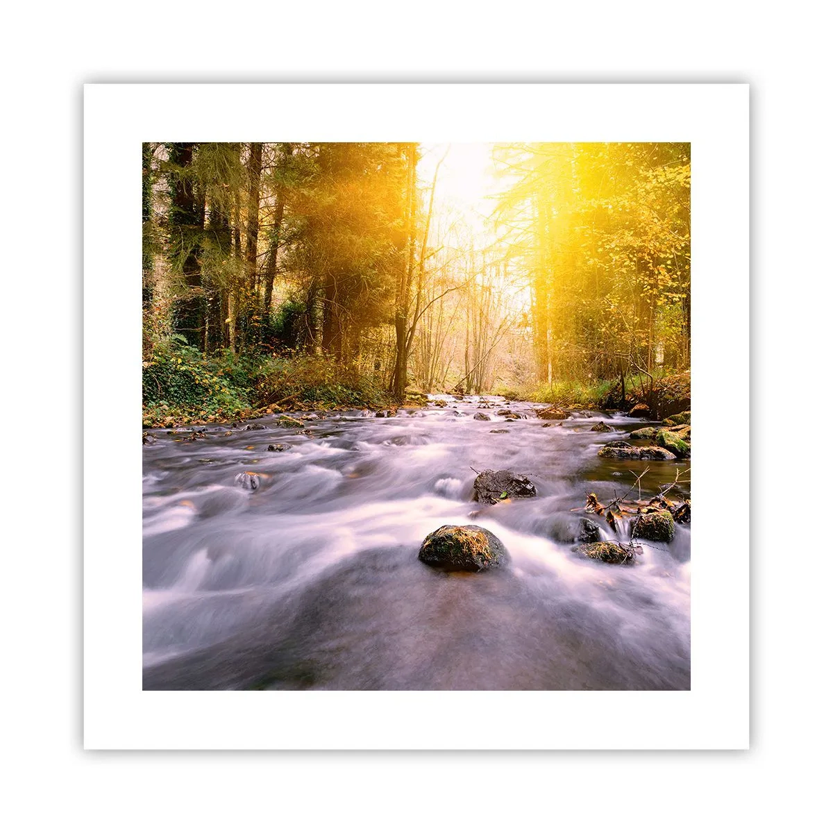 Affiche - Poster - Malachite dans un cadre argent et or - 40x40 cm