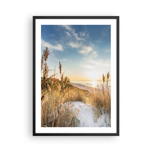 Affiche dans un cadre noir - Poster - Paysage de plage ensoleillée avec des herbes sur les dunes - 50x70cm - Plage du nord - Décoration murale moderne pour le salon et la chambre ARTTOR