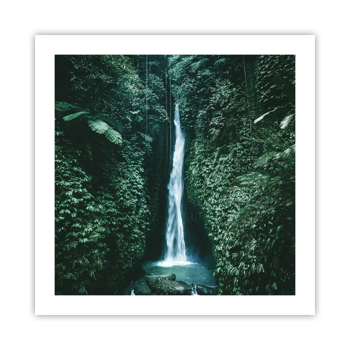 Affiche - Poster - Fontaine tropicale - 50x50 cm