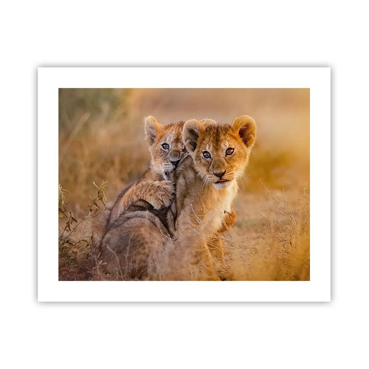 Affiche - Poster - Ne pas déranger! On s'amuse - 50x40 cm