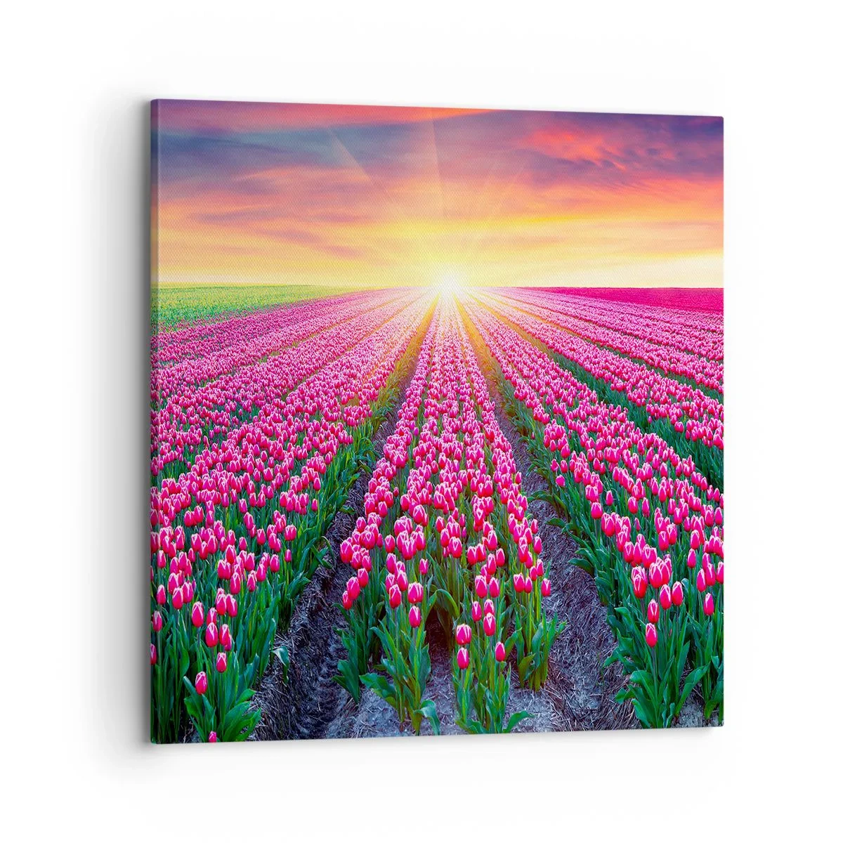 Impression sur toile - Image sur toile - Ferme de la beauté - 70x70 cm