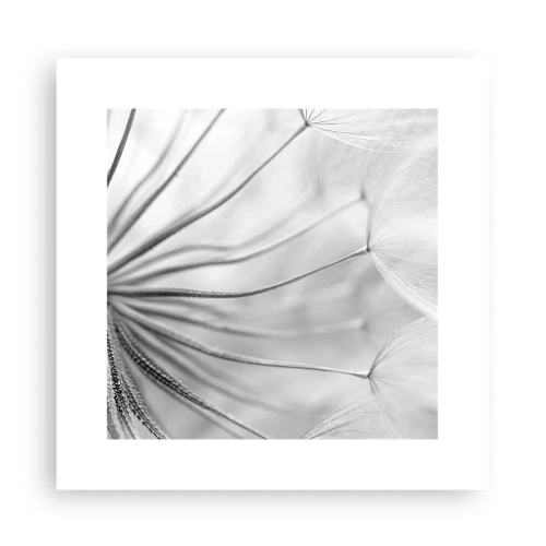 Affiche - Poster - Aigrette avant son envol - 30x30 cm