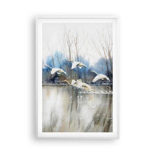 Affiche dans un cadre blanc - Poster - Comme dans un conte de fées sur les cygnes sauvages - 61x91 cm