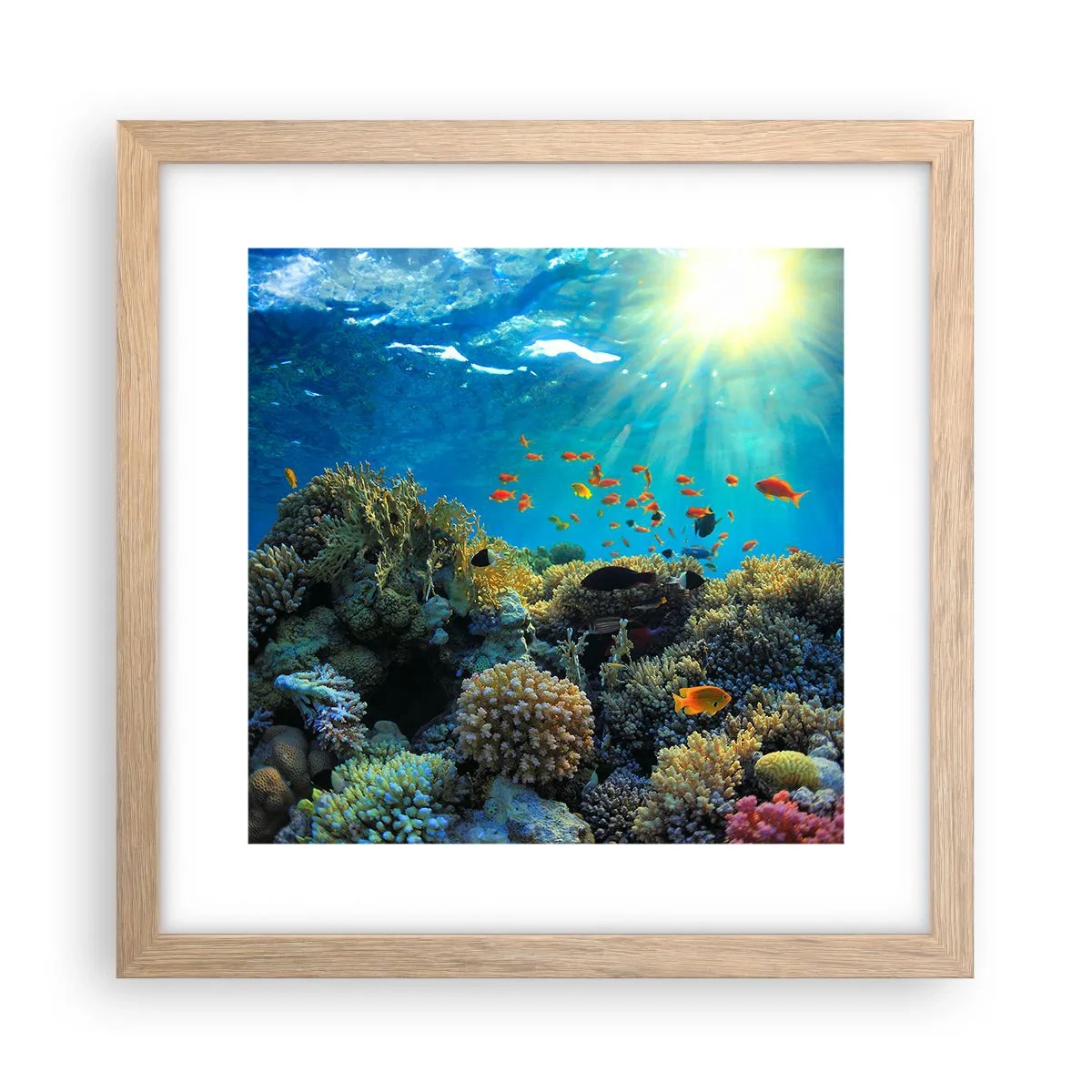 Affiche dans un chêne clair - Poster - Trésor sous-marin - 30x30 cm