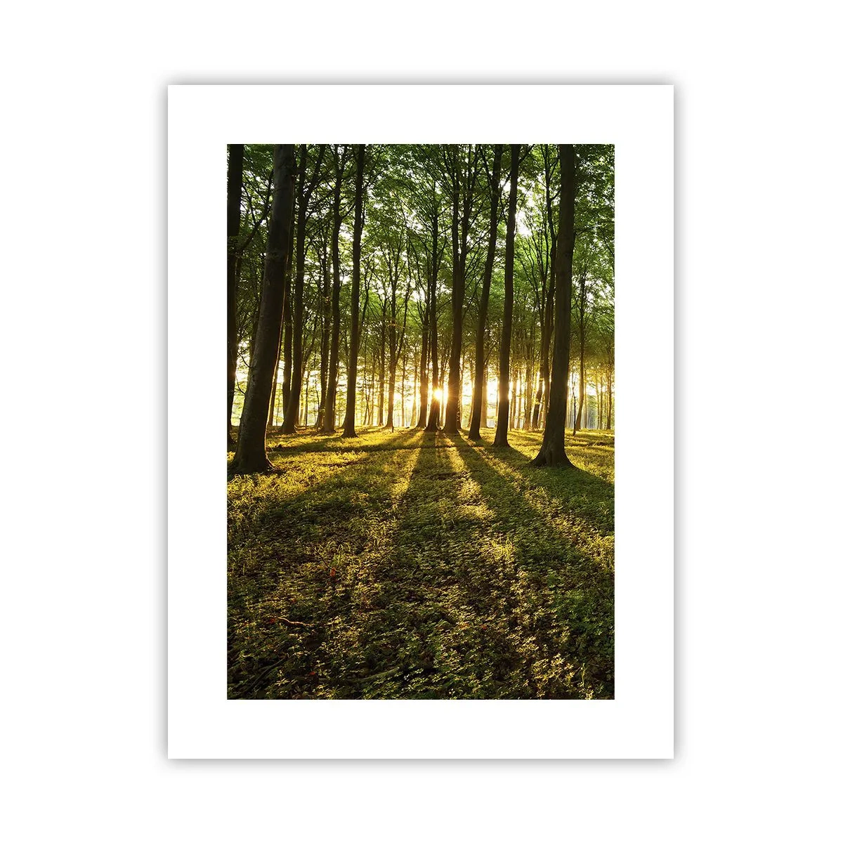 Affiche - Poster - Toutes les photographies de printemps - 30x40 cm