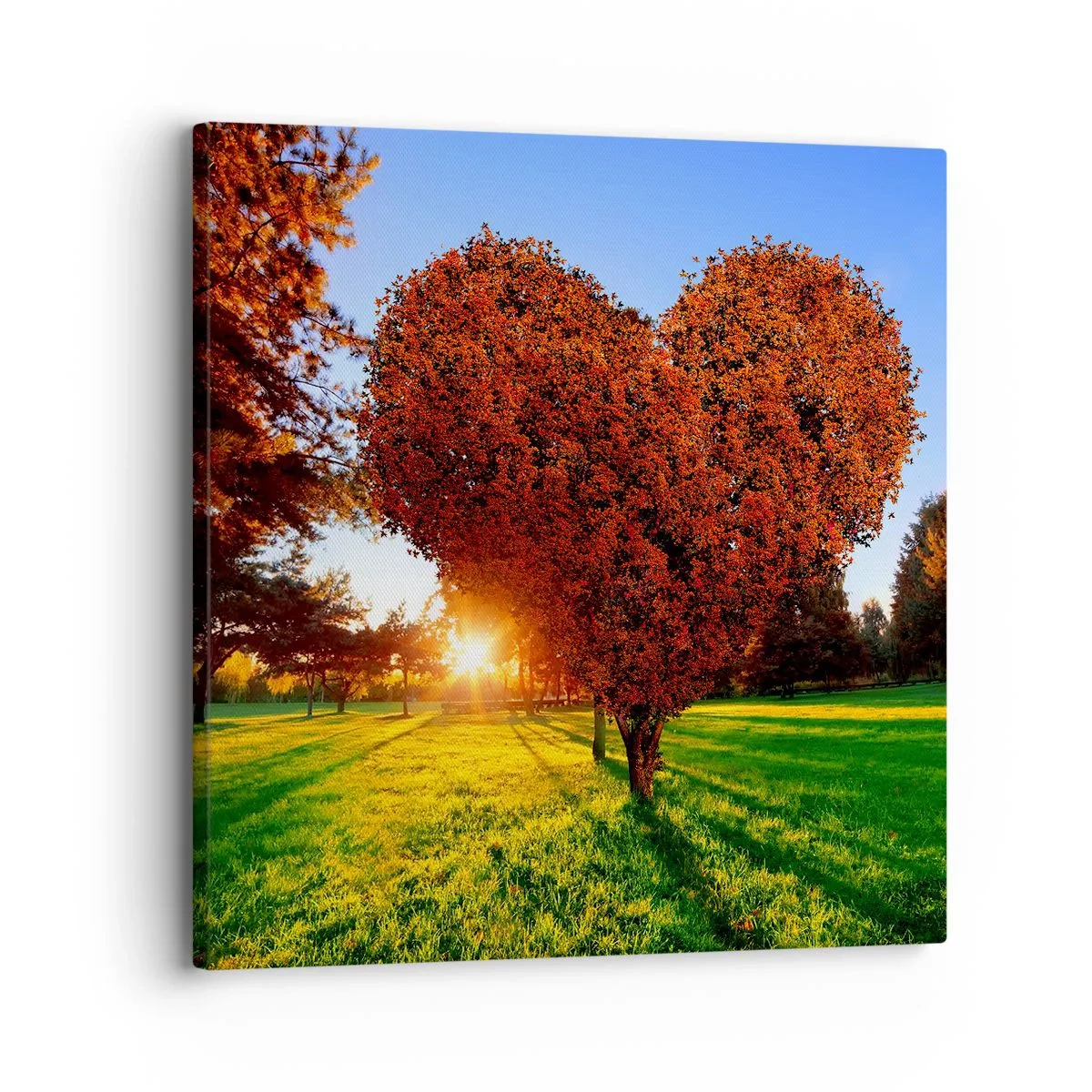 Impression sur toile - Image sur toile - Et comment ne pas aimer tomber - 30x30 cm