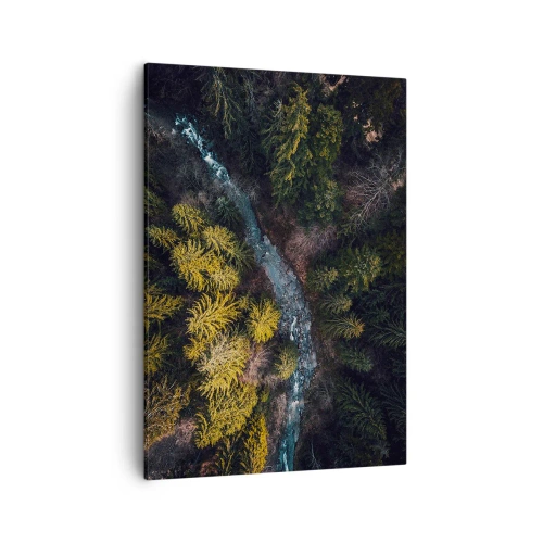 Impression sur toile - Image sur toile - Vue d'en haut d'une forêt avec une rivière sinueuse - 50x70cm - De plus en plus vite - Décoration murale moderne pour le salon et la chambre ARTTOR