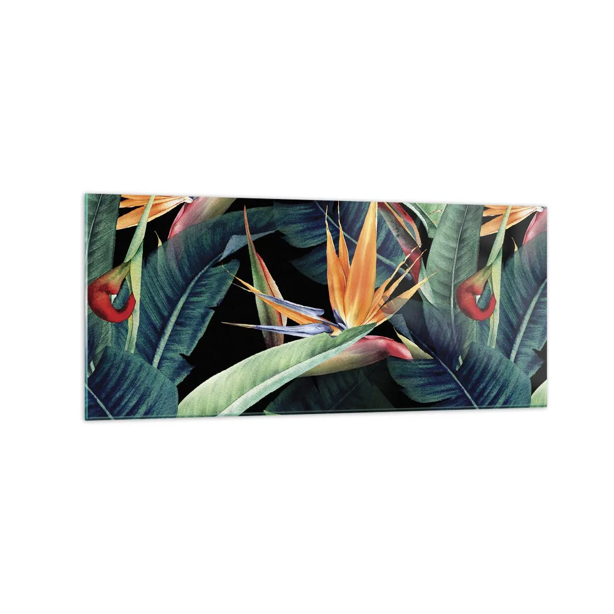 Impression sur verre - Image sur verre - Fleurs et feuilles tropicales sur fond noir - 120x50cm - Fleurs flamboyantes des tropiques - Décoration murale moderne pour le salon et la chambre ARTTOR