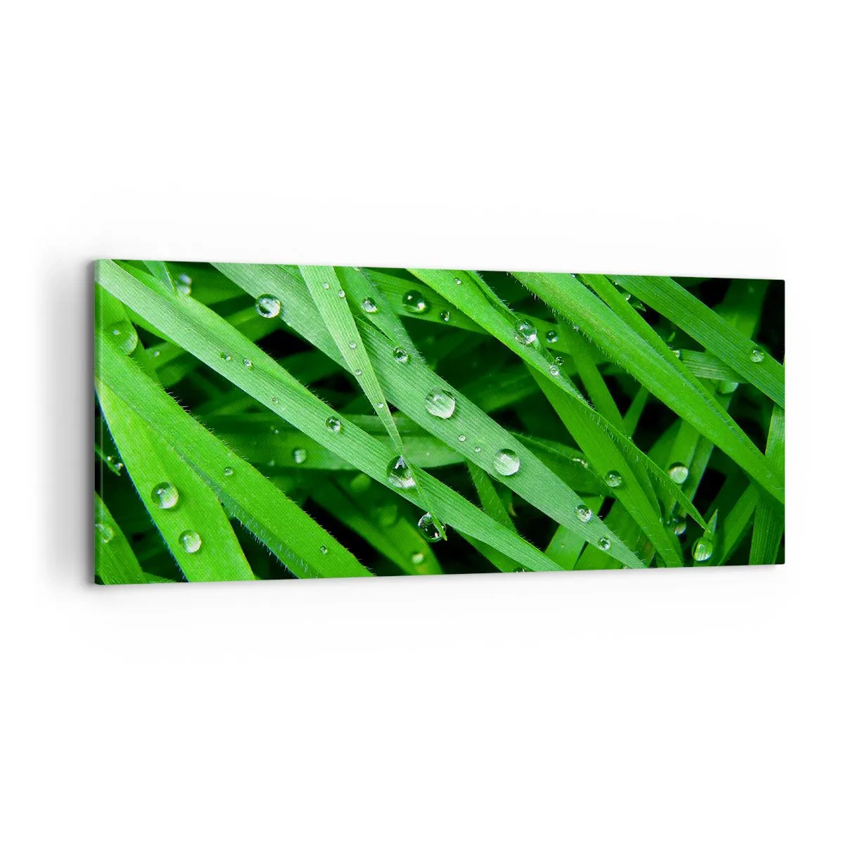 Impression sur toile - Image sur toile - Gros plan de brins d'herbe verte avec des gouttes de rosée - 120x50cm - Jouez dans le vert - Décoration murale moderne pour le salon et la chambre ARTTOR