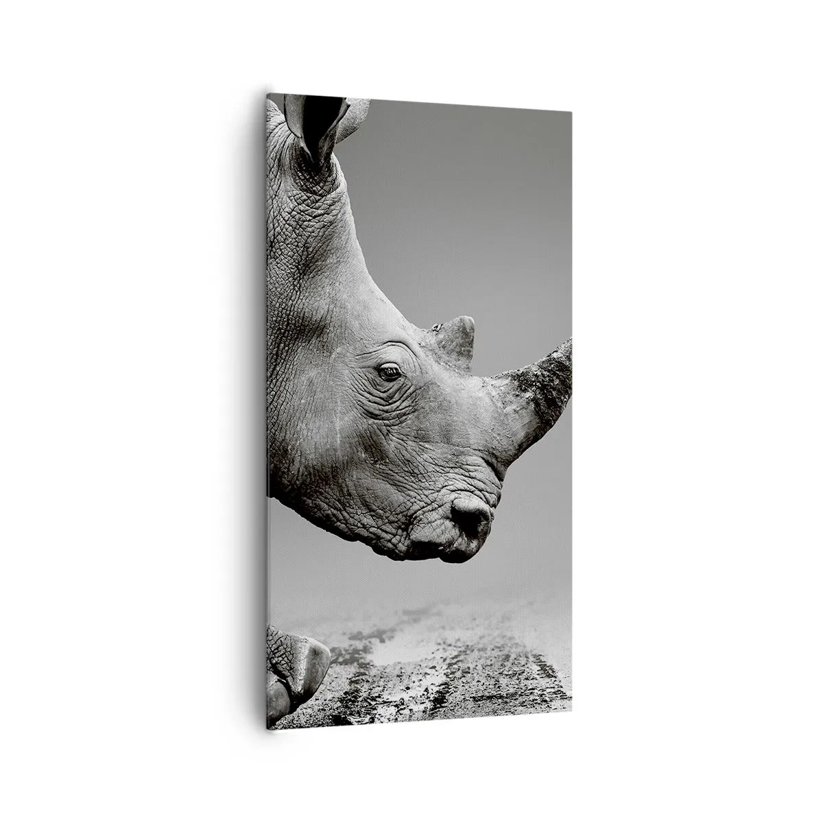 Impression sur toile - Image sur toile - Force inarrêtable - 65x120 cm