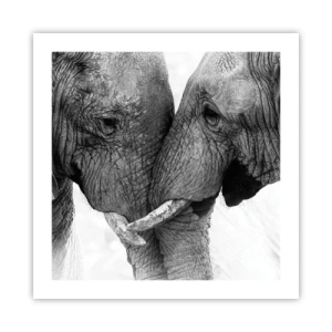 Affiche - Poster - Confession sincère - 50x50 cm