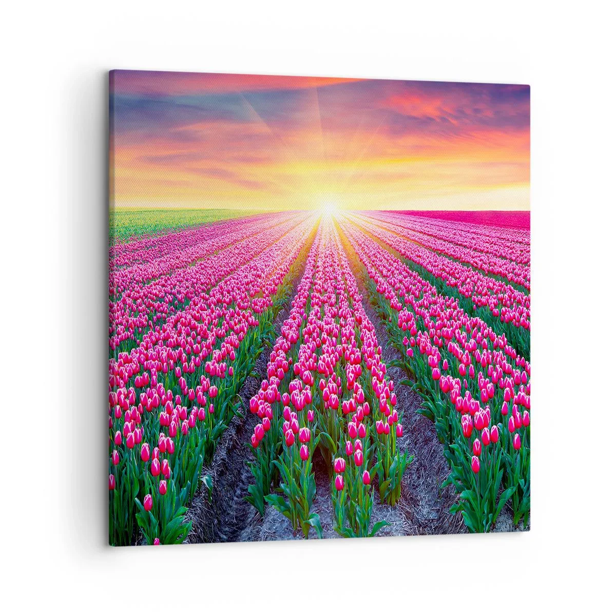 Impression sur toile - Image sur toile - Ferme de la beauté - 50x50 cm