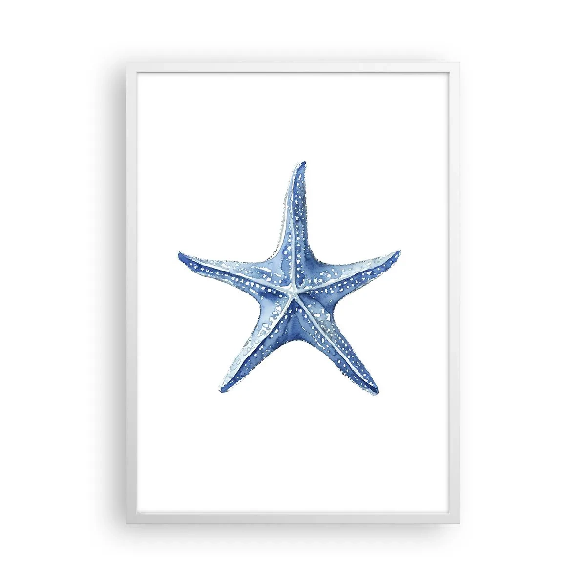 Affiche dans un cadre blanc - Poster - Étoile de mer - 50x70 cm