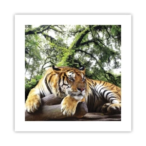 Affiche - Poster - Cordialement - 40x40 cm