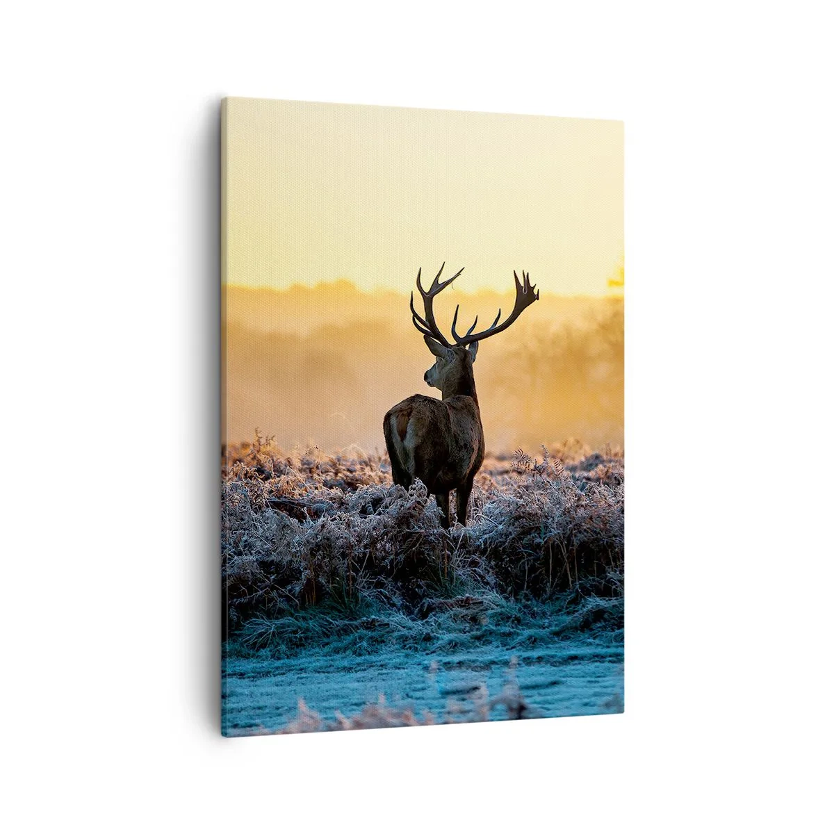 Impression sur toile - Image sur toile - Un cerf dans une clairière gelée au lever du soleil - 50x70cm - Couronné pour sa succession - Décoration murale moderne pour le salon et la chambre ARTTOR