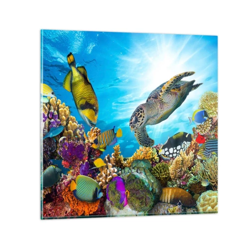 Impression sur verre - Image sur verre - Promenade de corail - 40x40 cm